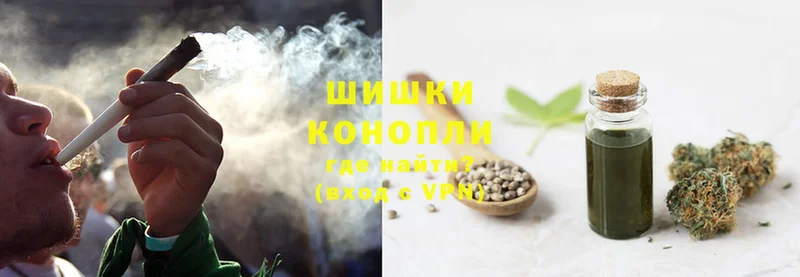 Каннабис SATIVA & INDICA  цены наркотик  Гороховец 